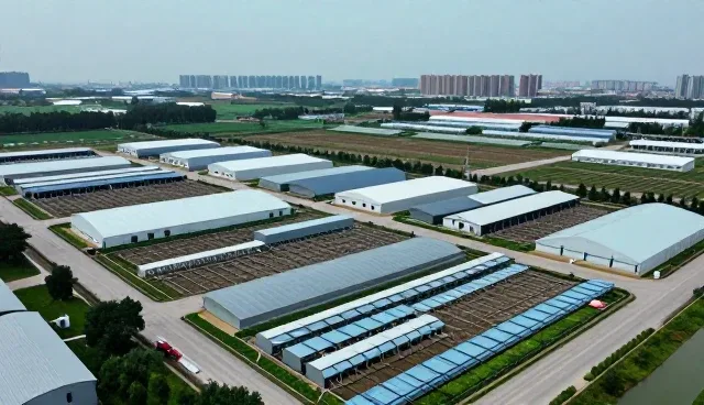 技术外包在不同规模企业中的实际应用场景分析
